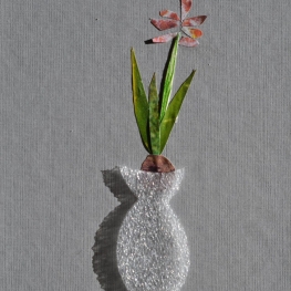 Fleurs N