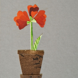 Fleurs R