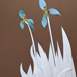 Iris