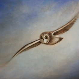 Vlucht 1