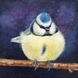 Pimpelmeesje