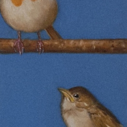 Buitenbeentje 3