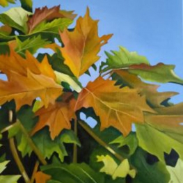 Herfstbladeren