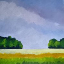 Landschap 115