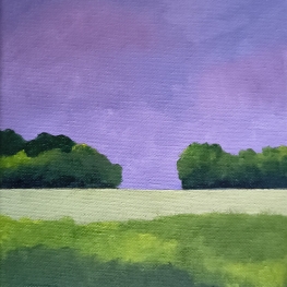 Landschap 111
