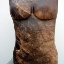 Torso