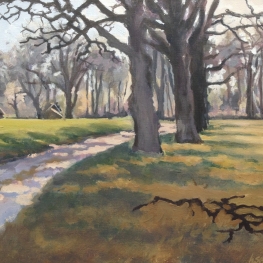 Zandweg in het Eerder-Achterbroek