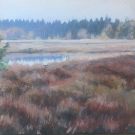 Een Drents vennetje