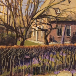 Boerenhuis in Aalden met crocussen