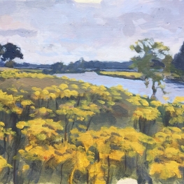 Kruiskruid langs de Vecht.