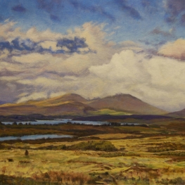 Opklaring '12 Ben's Connemara NP'