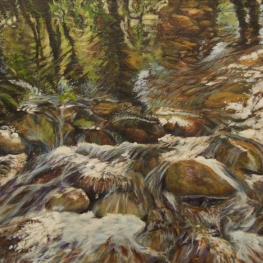 Portugese rivier
