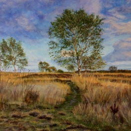 Ginkels heide