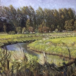 Achterhoekse stroom