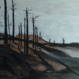 Het verbrande bos II