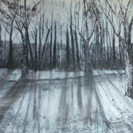 Bos in Noord Brabant