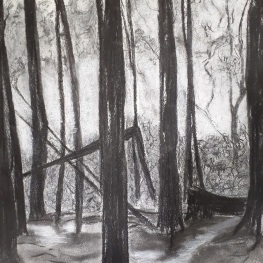 Speulderbos tweeluik