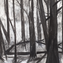 Speulderbos tweeluik