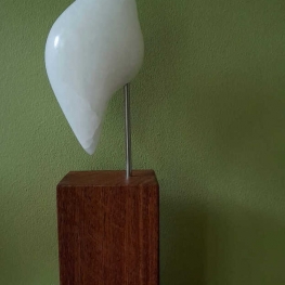 Vogel, Chilali ( Sneeuwvogel )