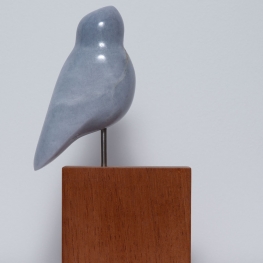 Vogel blauw Scharrelaar. Free Ranger