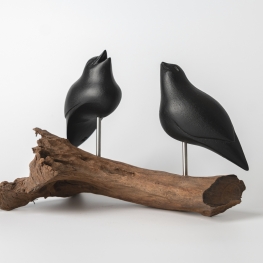 Love Birds koppel. Nov. 2025