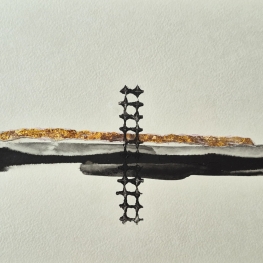 2025 tussen water en goud ontvouwt zich de weg 2