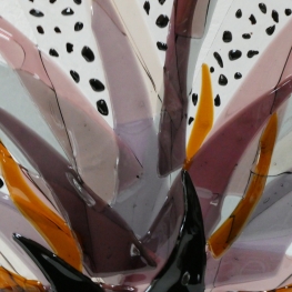 close up fantasie abstract 2