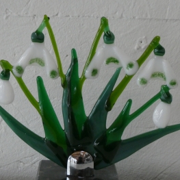 sneeuwklokjes voor binnen