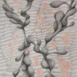 Zonder titel, potloodtekening, ingelijst 50 x 65 cm