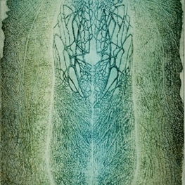 Cocoon