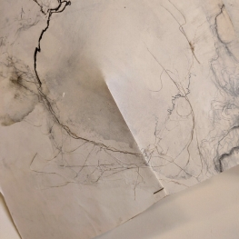 Als het gaat waaien , detail opname 