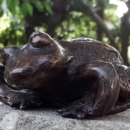 Bronzen Kikker of Pad