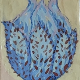 Keramische tegel bloemknopje Vergeet-me-Nietje