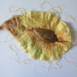 Is this an elmseed (detail)