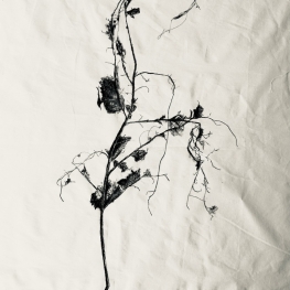 Herfstblad groot 4