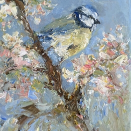 Blue tit