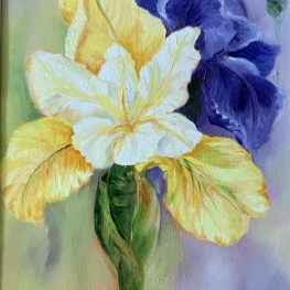 Iris geel blauw 