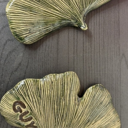 Herdenkingsbladeren Gingko Biloba 