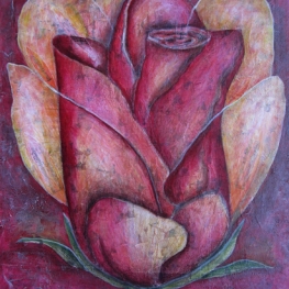 'Roos'