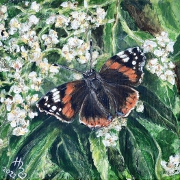 Messenger from Heaven