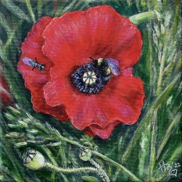 To Bee or not to Bee