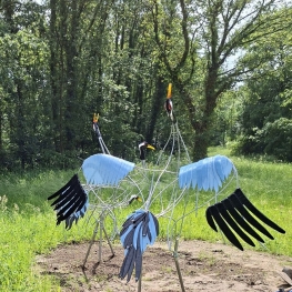 Baltsende kraanvogel