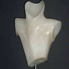 Torso