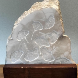 Gingko