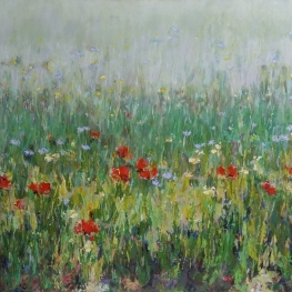 Bloemenveld met klaprozen 2