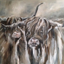 Schotse Hooglanders I