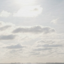 Op het wad