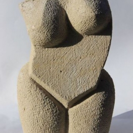 torso
