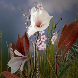 ABUNDANCE