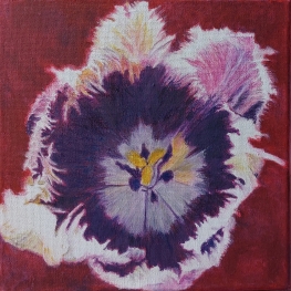 This is not a Lovesong